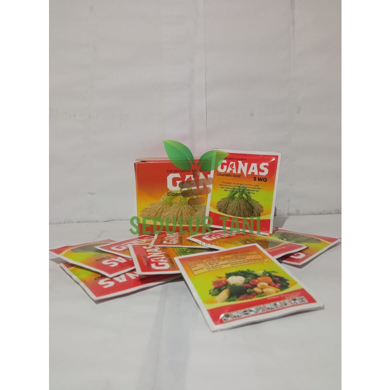 zat pengatur tumbuh GANAS Giberellic Acid 5 WG
