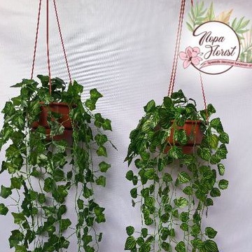 daun juntai artificial/daun gantung/pot gantung gardenia/daun sirih gading dan pot gantung