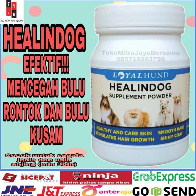 HEALINDOG MENGATASI BULU KUSAM & BULU RONTOK ANJING VITAMIN ANJING