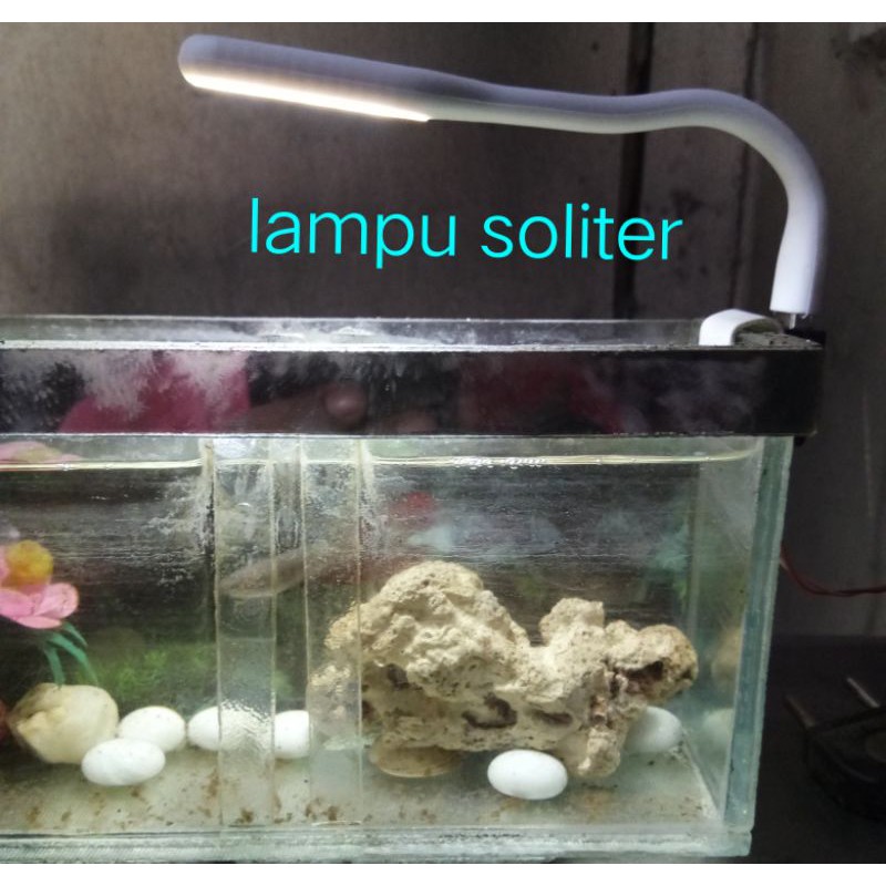 lampu LED aquarium lampu led aquascape, lampu soliter cupang usb