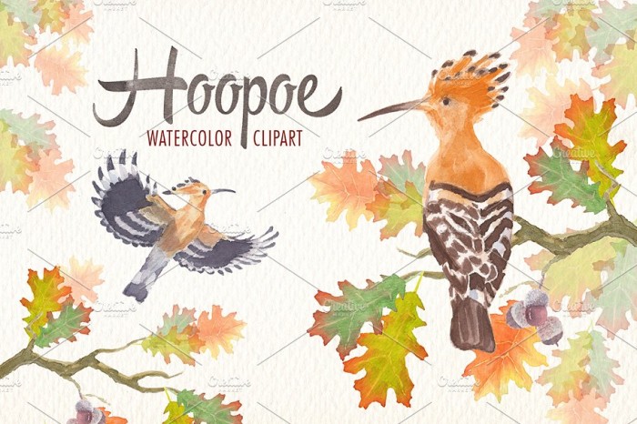 Watercolor Hoopoe Bird Clipart - Vector Designs