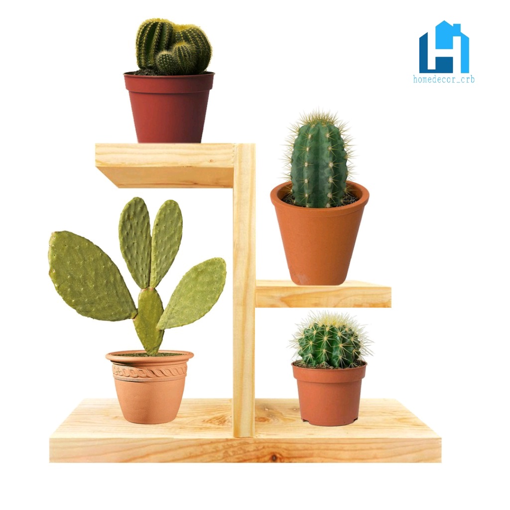 RAK BUNGA KAYU / RAK BUNGA MINIMALIS RAK BUNGA KAKTUS LUCU