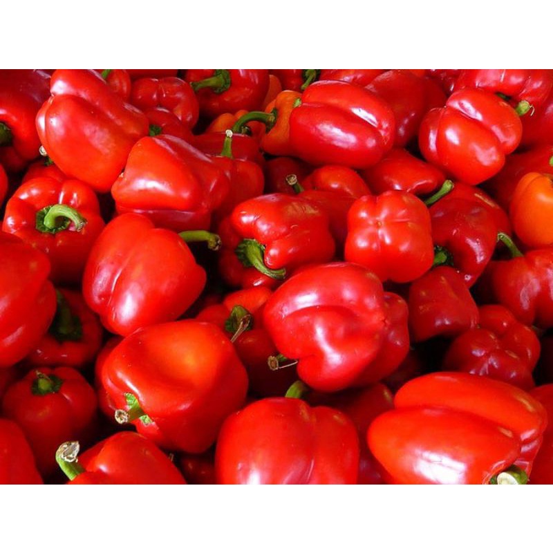 

Paprika Merah 500 gram