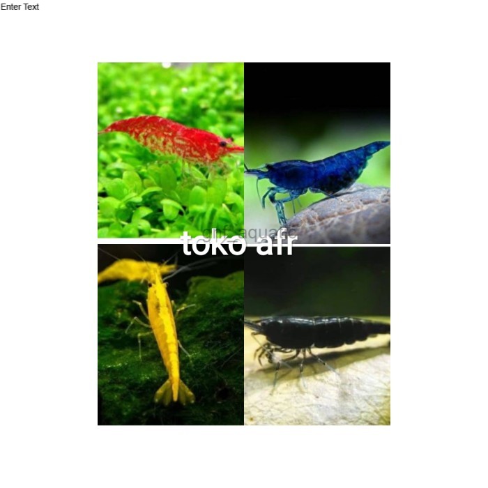 hiasan aquarium aquascape paket udang hias