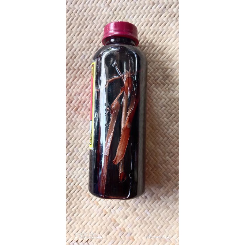 minyak gosok akar lawang asli kalimantan