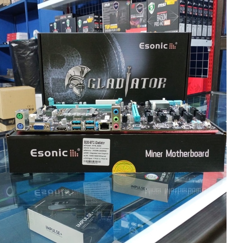 ESONIC GLADIATORS DDR4