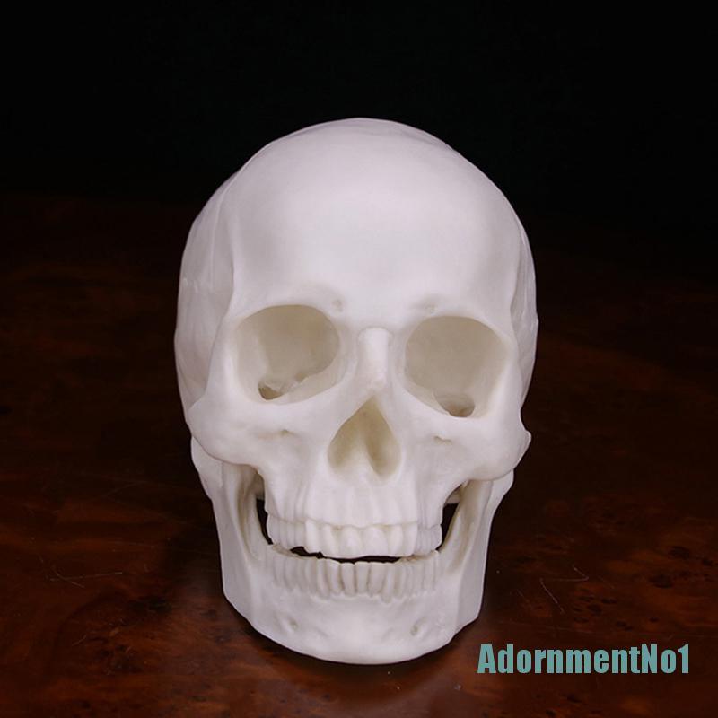 (AdornmentNo1) Model Tengkorak Manusia Bahan Resin Warna Putih Skala 1: 1 Untuk Halloween