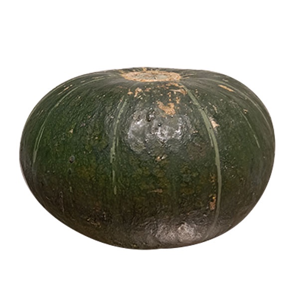 

LABU KABOCA 1100 GR
