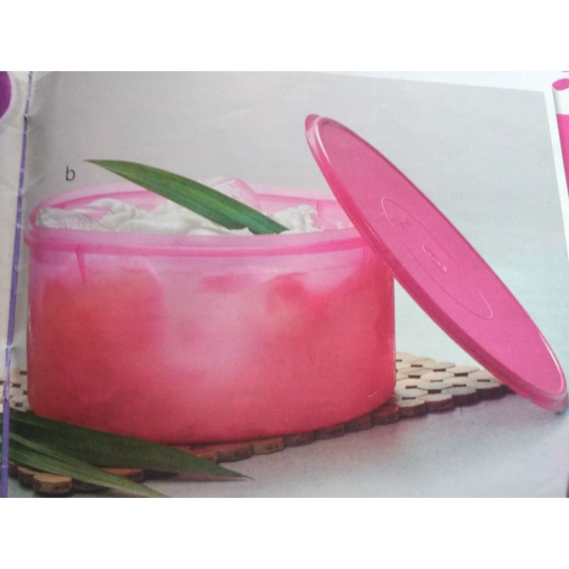 tupperware carry all canister