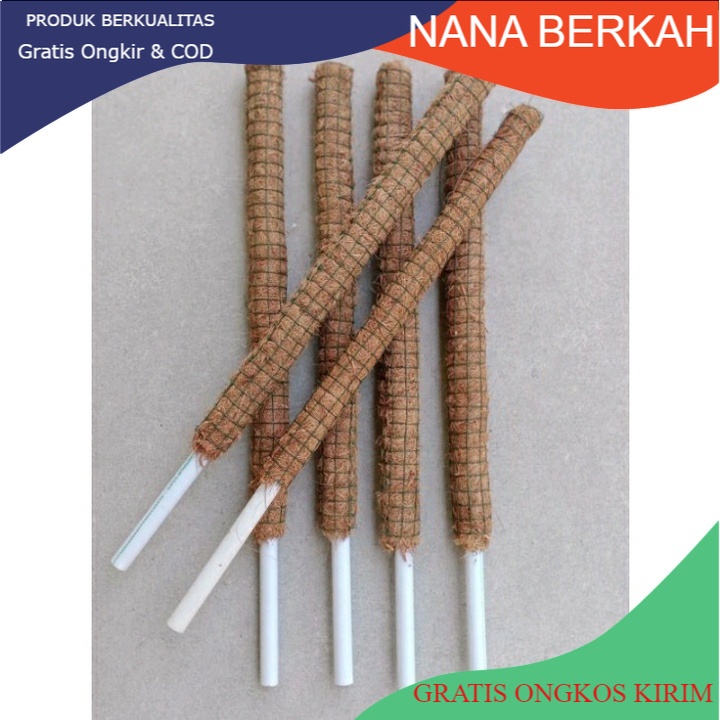 promo turus tanaman 30 cm penyangga tanaman