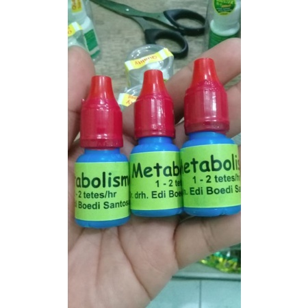 metabolisme dr edi segel merah