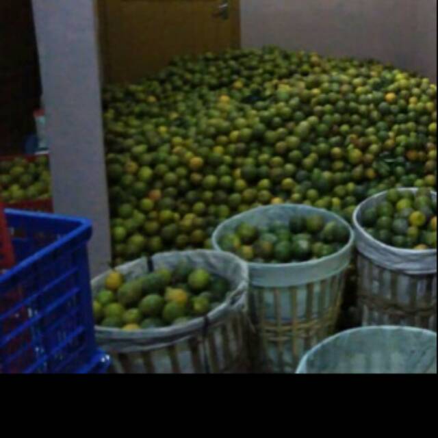

Jeruk peras