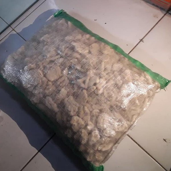 KARUNG KARANG JAHE MEDIA FILTER TERUMBU KARANG AQUARIUM KOLAM
