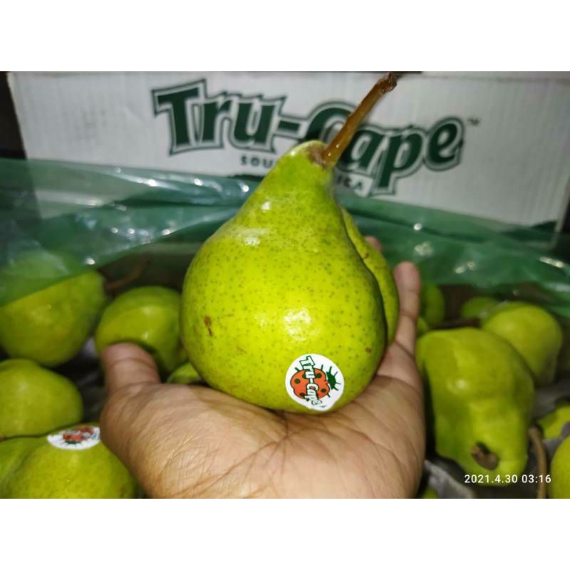 buah pear pir hijau packham afrika fresh 1kg