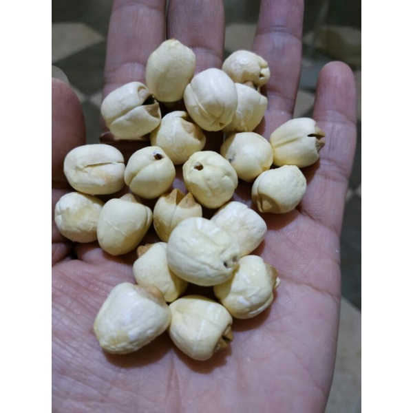 

LOTUS SEED BIJI TERATAI LIENCI 100gram PREMIUM Grade A