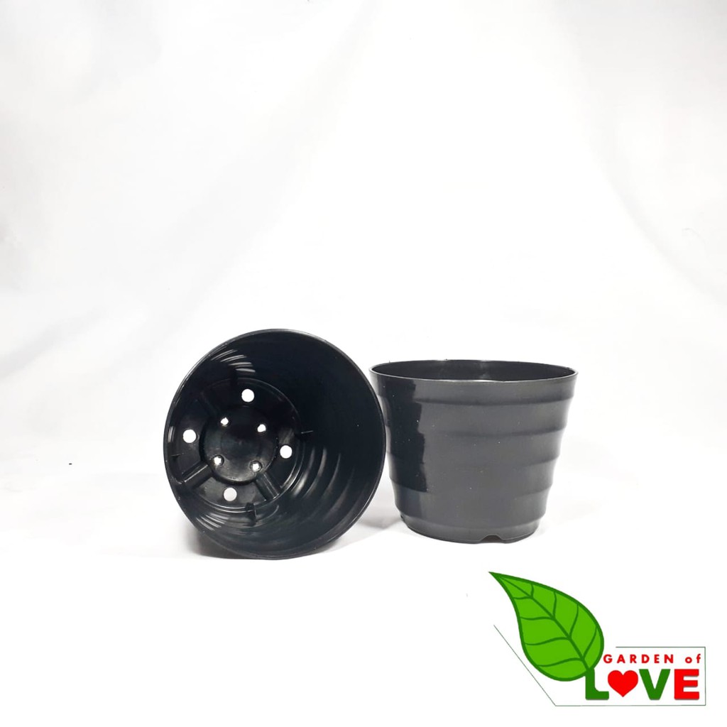 Pot Kopeng 12 Hitam Hitam By Garden Of Love Pot Plastik Mini Kaktus Murah Lucu Mirip Pot Tawon 12