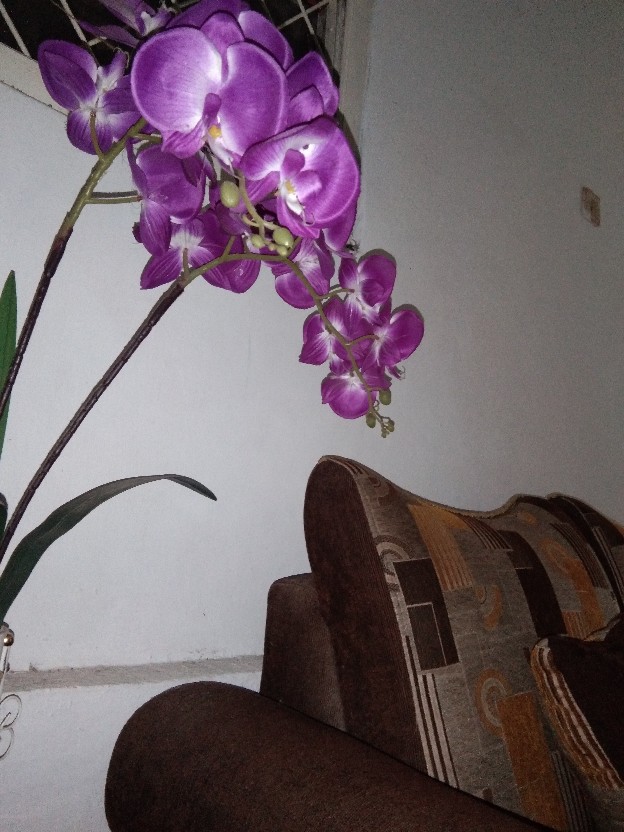 Nagada Spon Mandi / Bath Sponge / Spons Mandi Mekar 15 Gr / Shower Puff - 2w