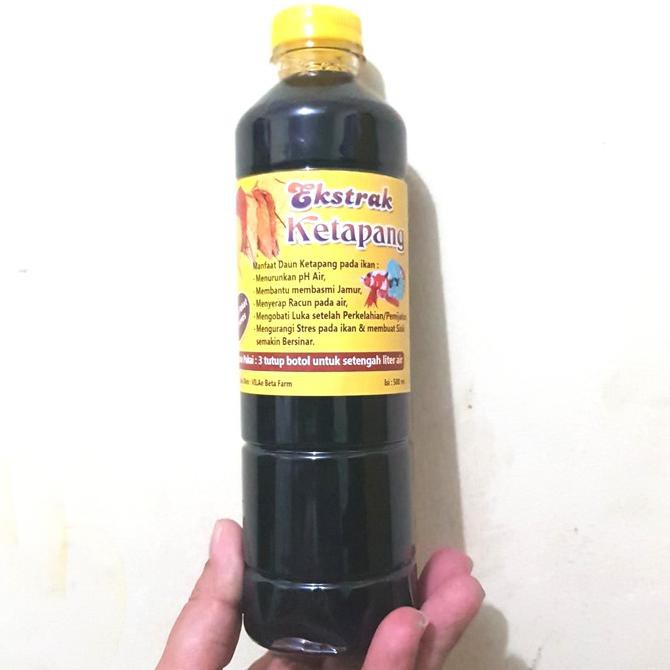 

MURAH EKSTRAK DAUN KETAPANG 500ML. COKLAT PEKAT