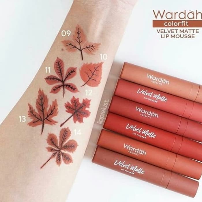 Wardah lipstik Colorfit Velvet Matte Lip Mousse