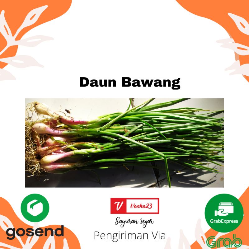 

DAUN BAWANG