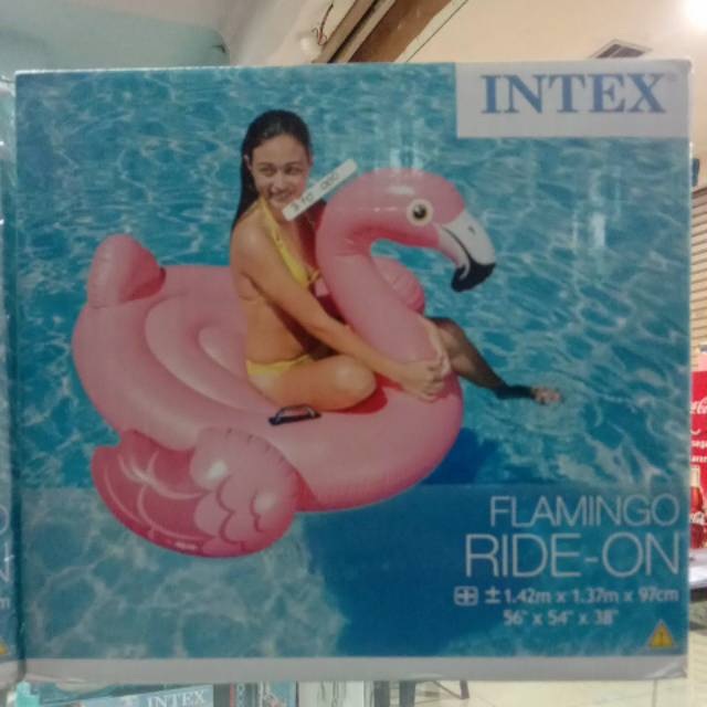 

Flamingo anak untuk di kolam 57558NP