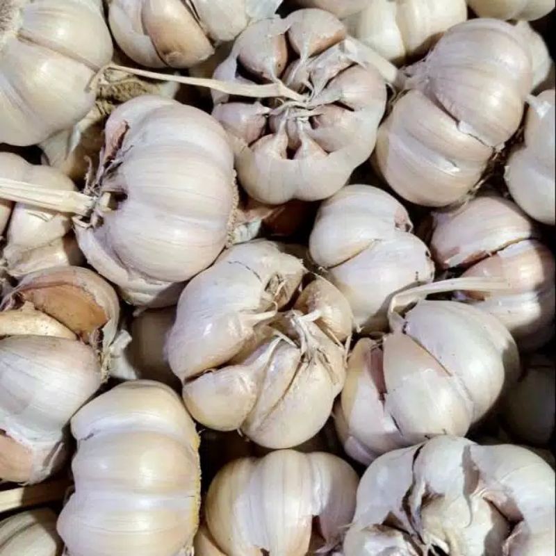 

Bawang Putih Sinco 500Gram