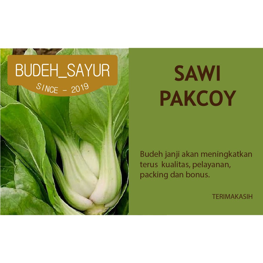 

Sawi pakcoy 250gr