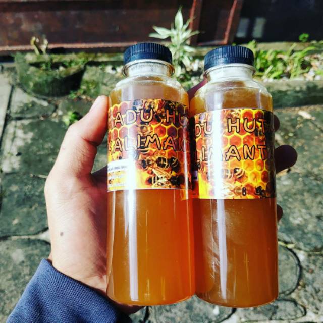

Madu Hutan Kalimantan 100% madu hutan kalimantan