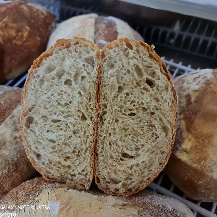 Sourdough plain, roti gandum sehat-1
