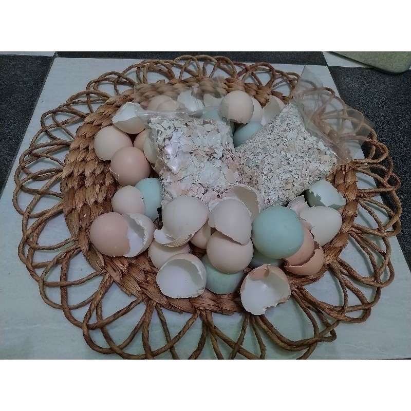 

Cangkang telur/kulit telur/cangkang telur ayam kampung campuran cangkang telur bebek 200gr