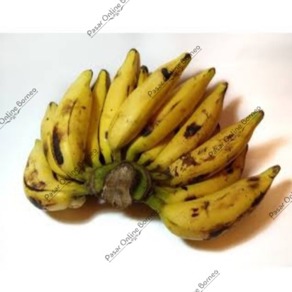 

Buah Segar Pisang Talas Sesisir
