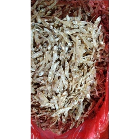

Ikan Teri Tawar