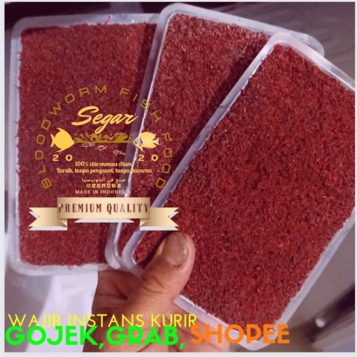 CACING DARAH BEKU tray 100gram SEGAR PREMIUM QUALITY #larissangatamin