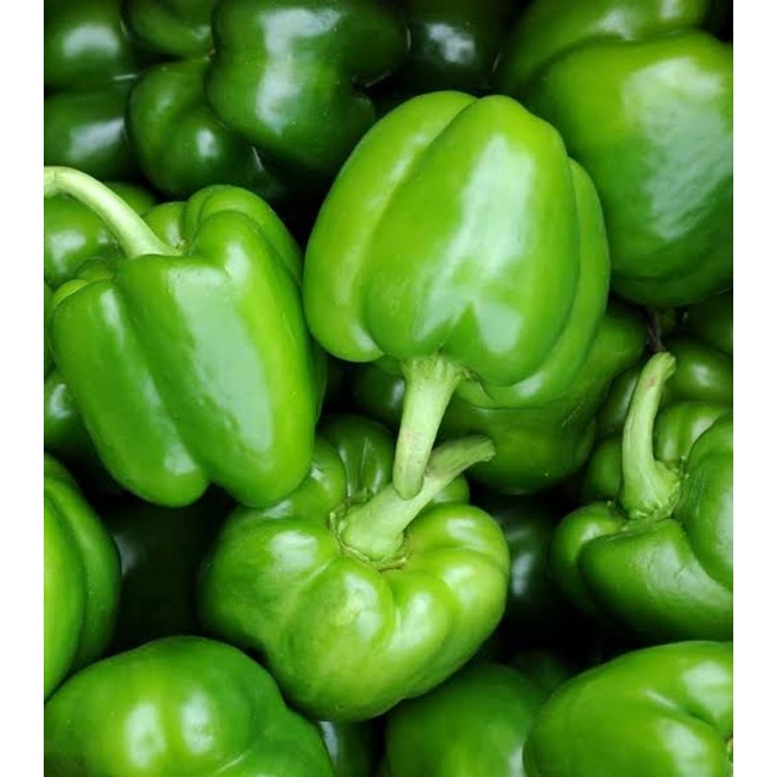 

paprika hijau