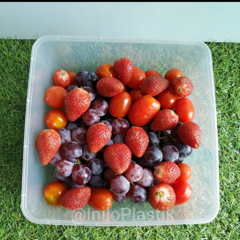 25pcs Thinwal DM 3000ml SQ / Thinwall Kotak Plastik 3000 ml