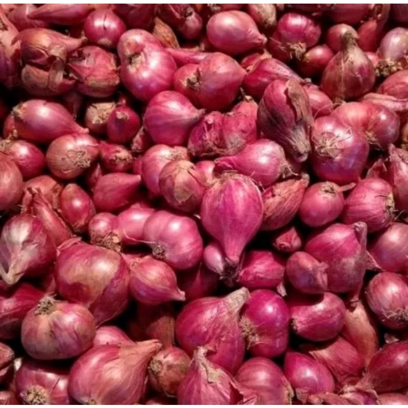 

bawang merah 250 gram