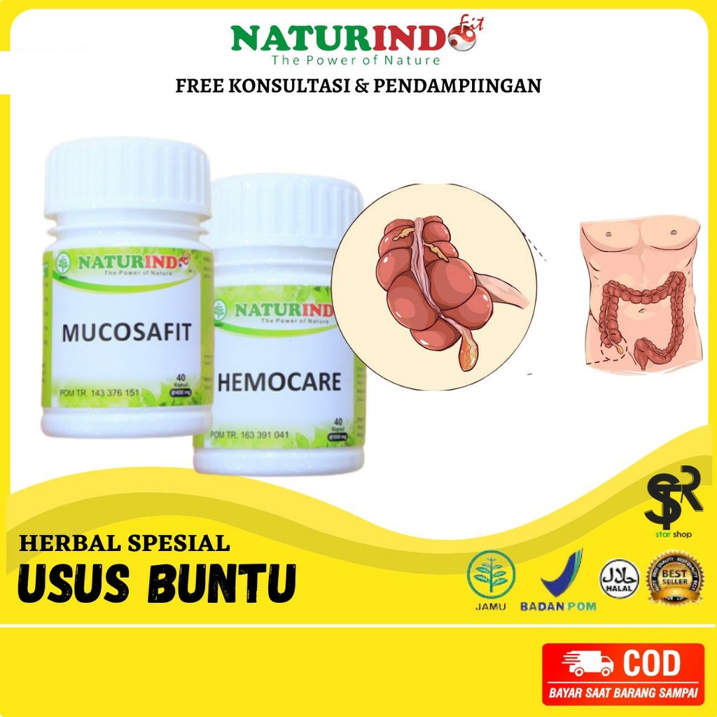 NATURINDO Obat Usus Buntu Obat Radang Usus MUCOSAFIT HEMOCARE