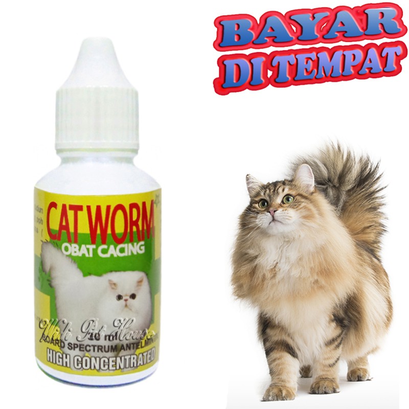 Obat Cacing Kucing Kurus CAT WORM Sakit Cacingan KItten