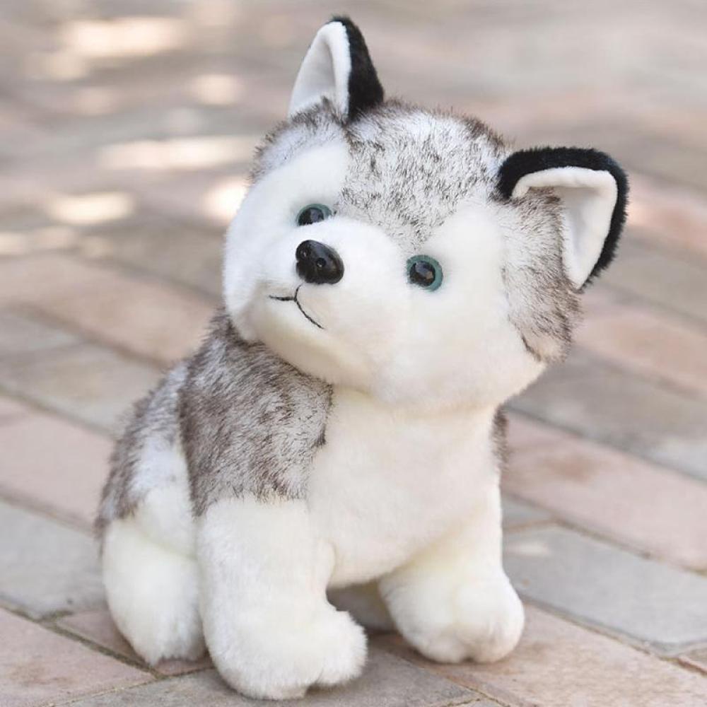 Timekey Mainan Boneka Stuffed Plush Anjing Husky Lucu 20cm Untuk Hadiah Anak C7V8