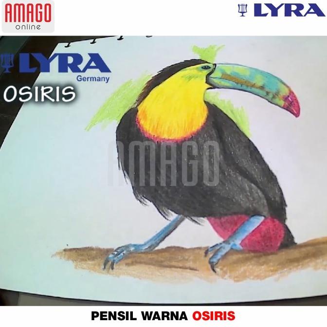 

Pensil Warna Lyra Osiris - 24 Warna - 2521240 Dijamin Puas