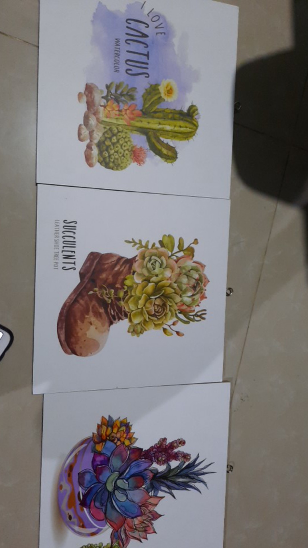 Wall Decor Poster Kaktus Sukulen Pajangan Hiasan Dinding Daun Monstera Tropical  Succulent - Bc19