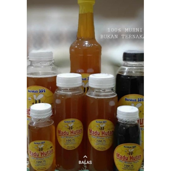 

madu hutan murni