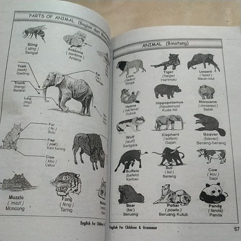 ENGLISH FOR CHILDREN Grammar Conversation-3