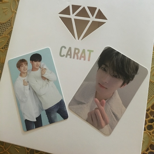 Tc Meanie + Wonwoo heart