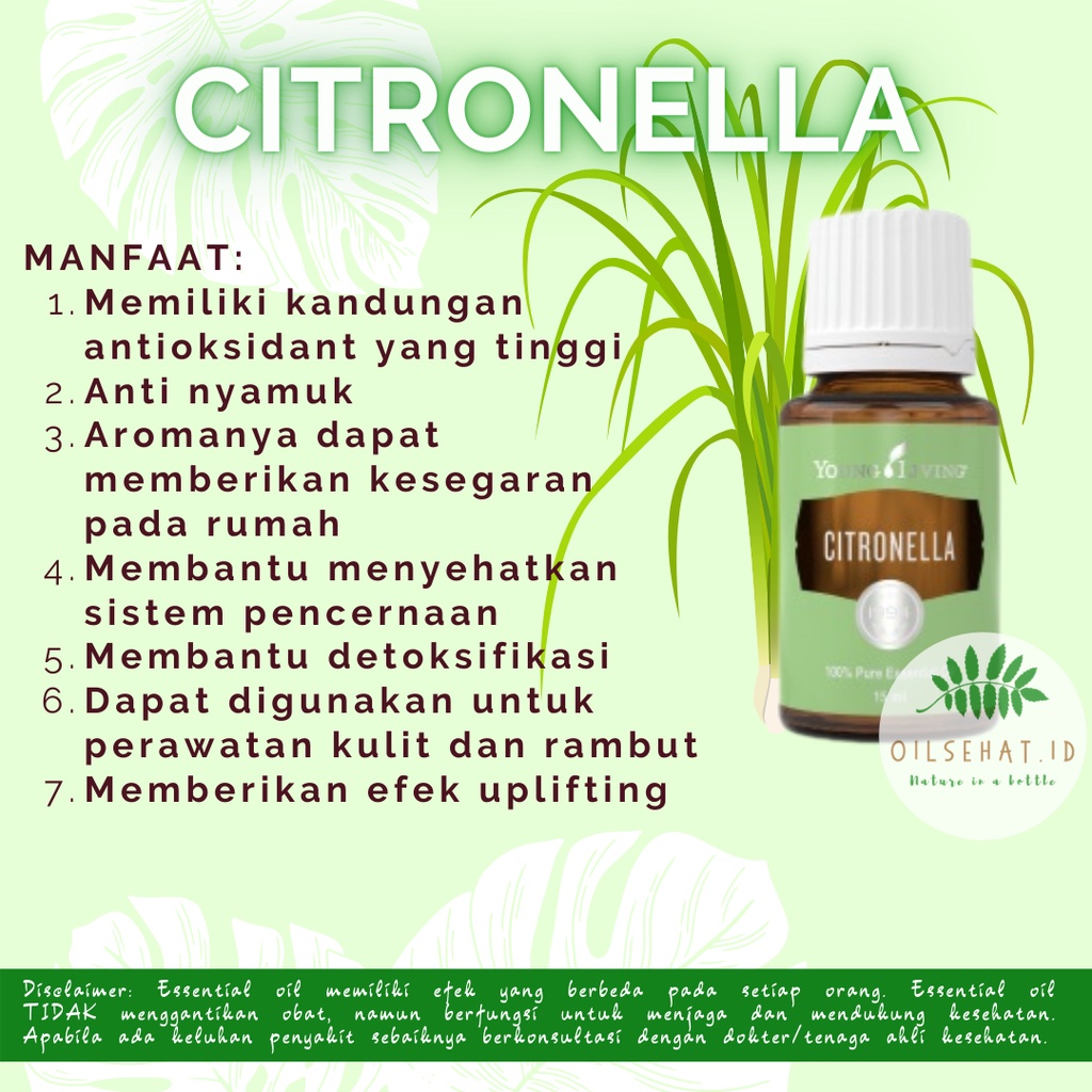 Citronella Essential Oil Original YL