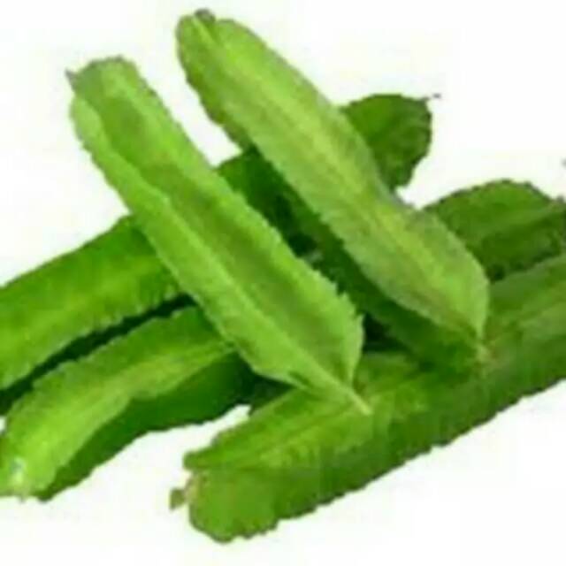 

Benih / seed / bibit kecipir