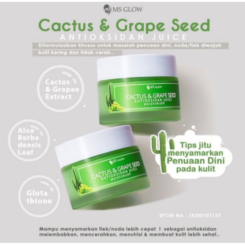 CACTUS & GRAPE JUICE MOISTURIZER MS GLOW ( original )