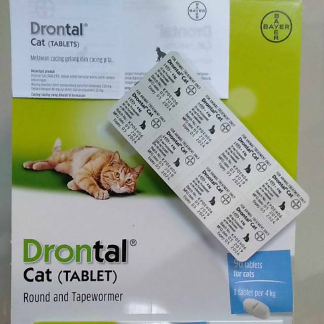 Drontal Cat