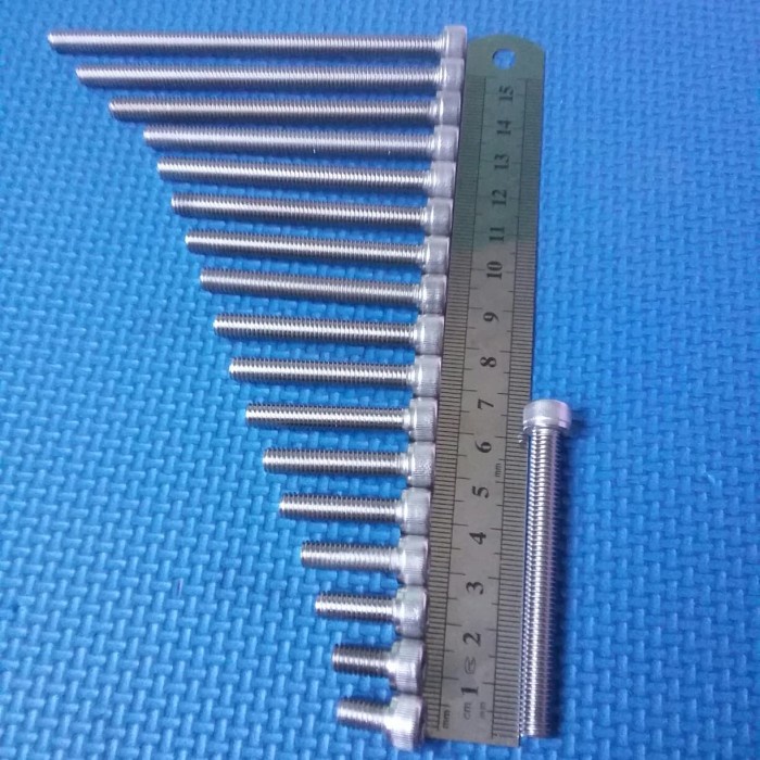 baut 10/6x60 stainless