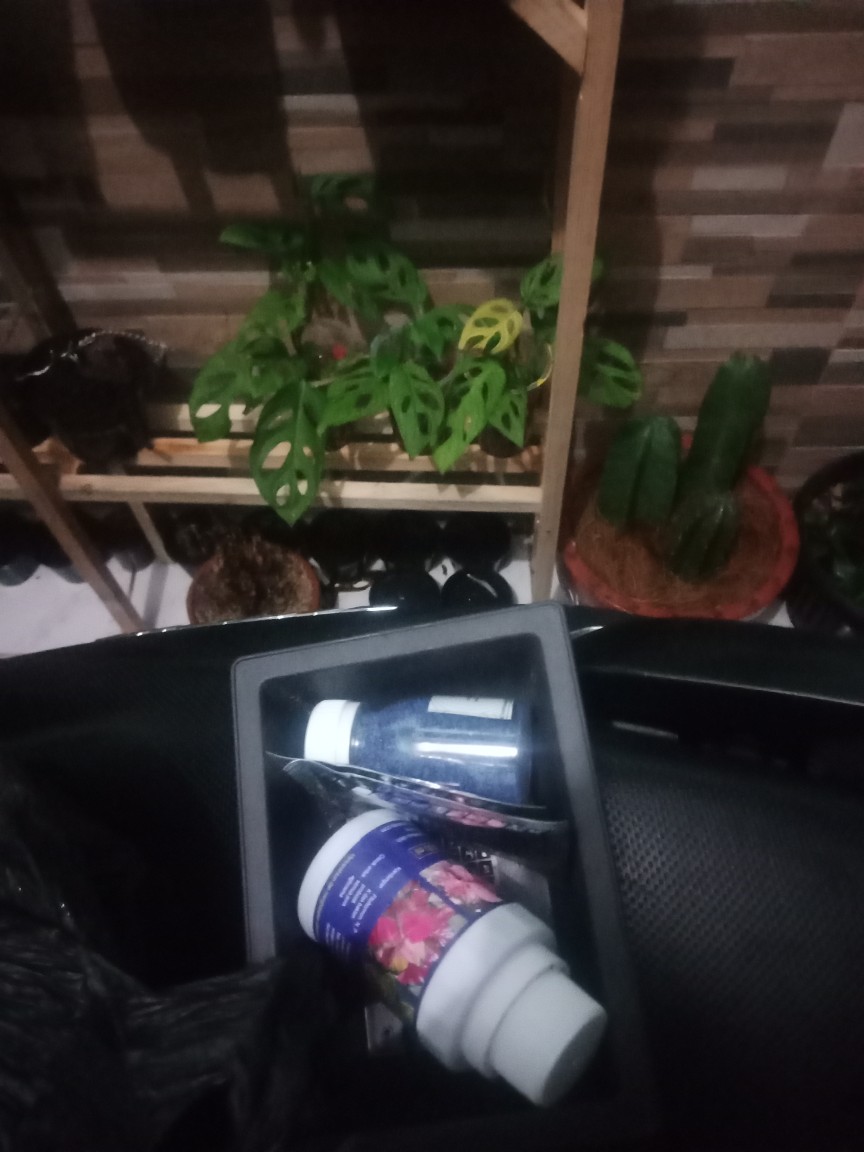 Obat Anti Semut Dan Kecoa Miejiqing